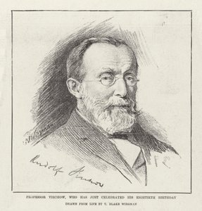 Profesor Virchow, quien acaba de celebrar su octogésimo cumpleaños de Theodore Blake Wirgman